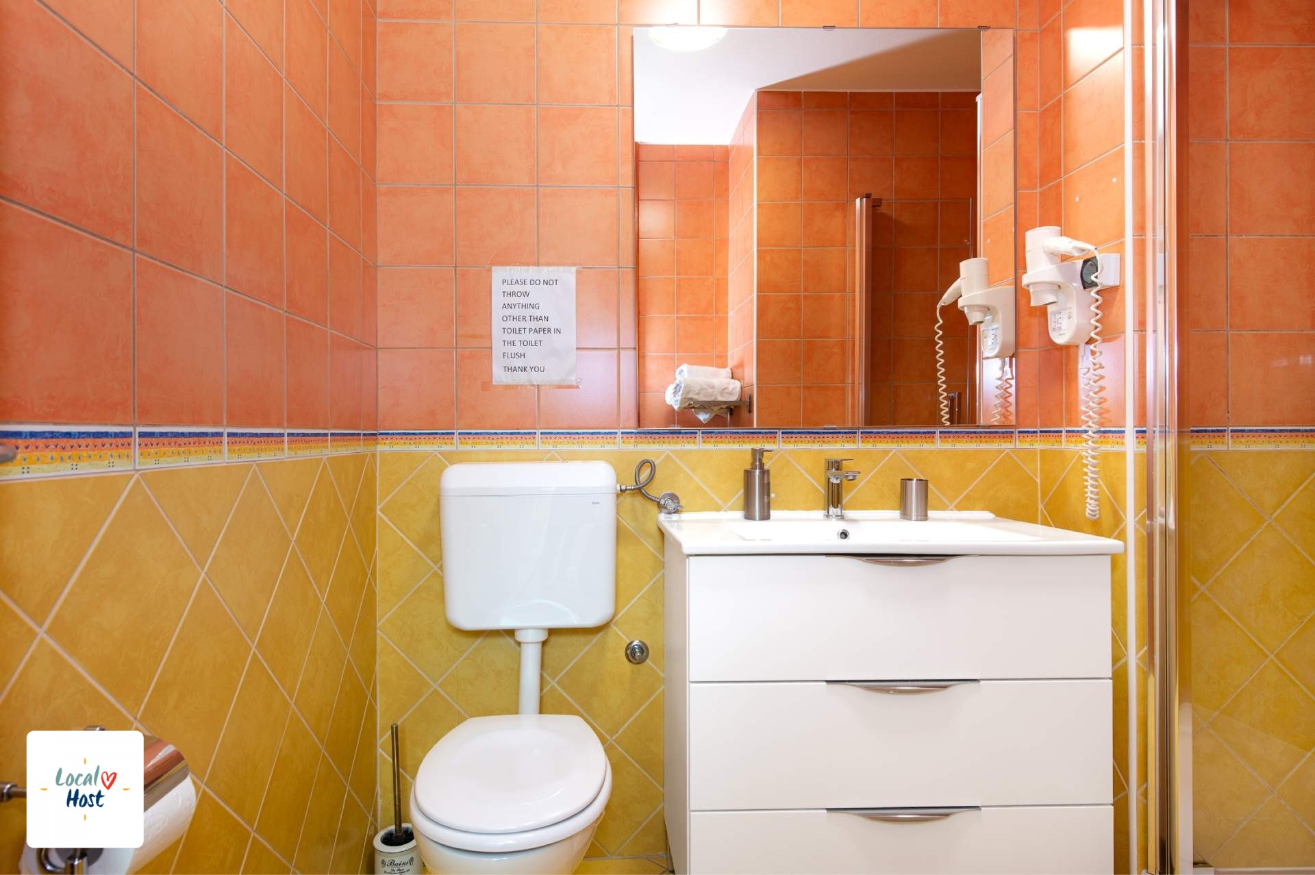 AP 102 - Bathroom view 2